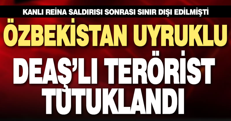DEAŞ operasyonunda yakalanan zanlı tutuklandı