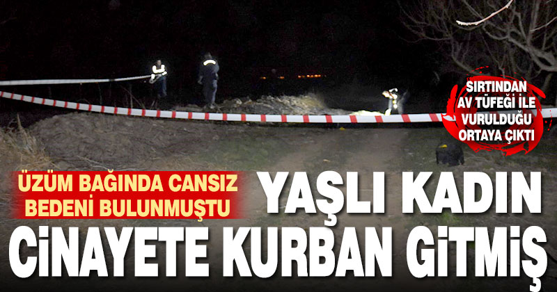 Üzüm bağında cesedi bulunan kadın sırtından av tüfeğiyle vurulmuş
