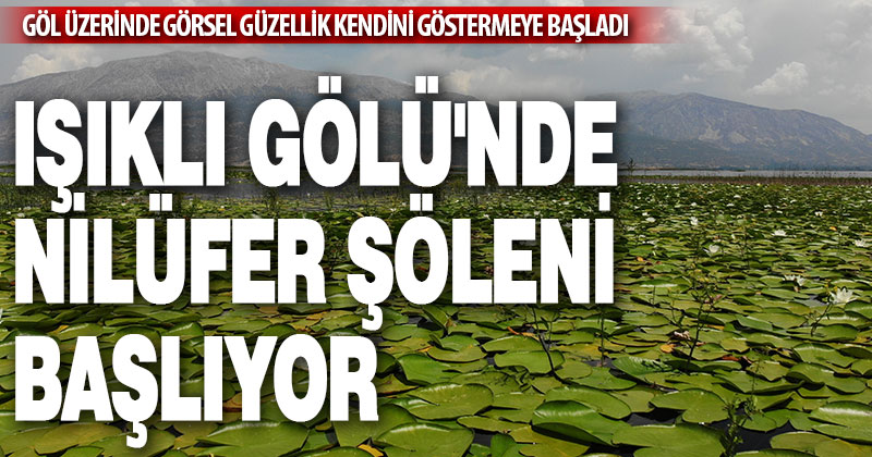 Işıklı Gölü’nde nilüfer şöleni başlıyor