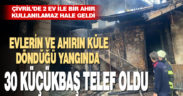 Evlerin ve ahırın küle döndüğü yangında 30 küçükbaş telef oldu