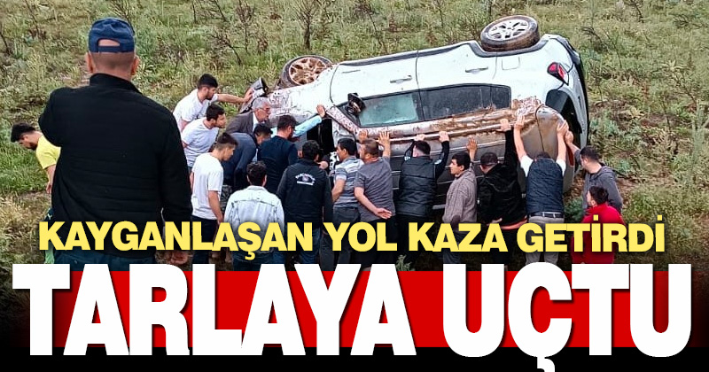 Karşı şeride geçip tarlaya uçtu