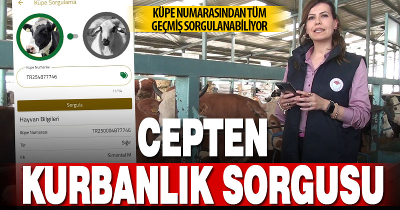 Tarım Cebimde uygulaması kurbanlık hayvanlar için kullanıma açıldı
