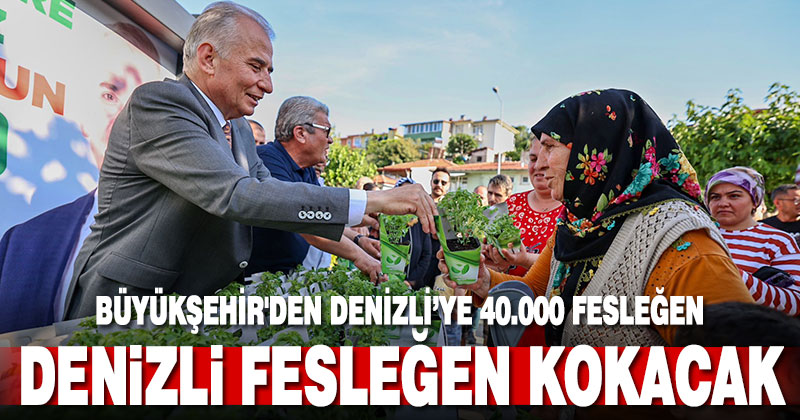 Büyükşehir’den Denizli’ye 40.000 fesleğen