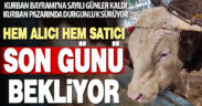 Kurban pazarında ümitler son güne kaldı