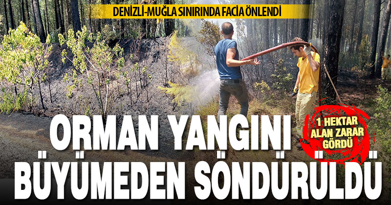 Denizli-Muğla sınırındaki orman yangını büyümeden söndürüldü