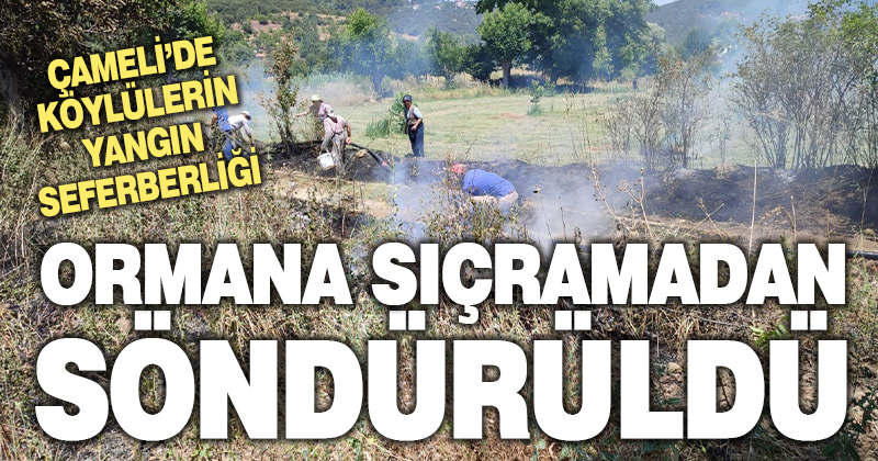 Örtü yangının büyümesini köylüler önledi
