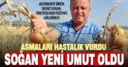 Soğan çiftçinin yeni umudu oldu