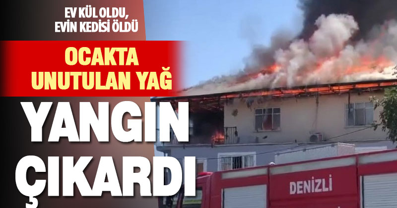 Ocakta unutulan yağ yangın çıkardı: Ev kül oldu, evin kedisi öldü