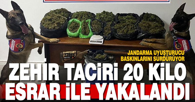Jandarmanın 20 kilo esrarla yakaladığı şüpheli tutuklandı