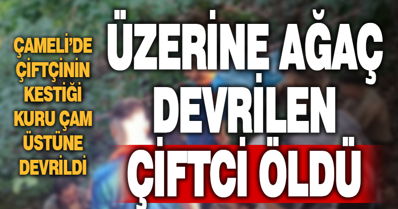 Denizli’de üzerine ağaç devrilen kişi öldü