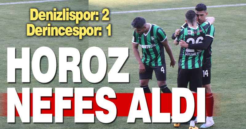 Denizlispor: 2 – Derincespor: 1