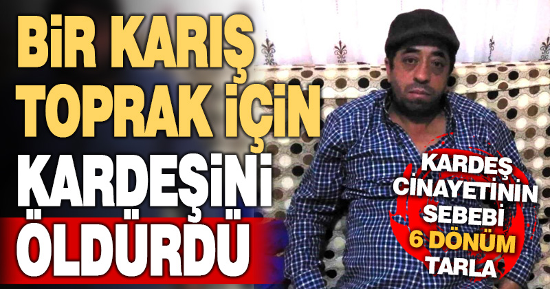 Bir karış toprak için kardeşini öldürdü