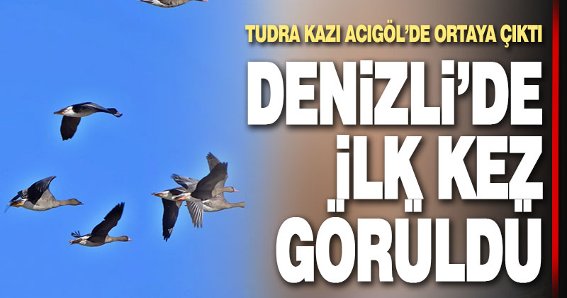 Tundra kazı, Denizli’de ilk kez gözlemlendi