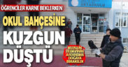 Aç kalan kuzgun okul bahçesine düştü