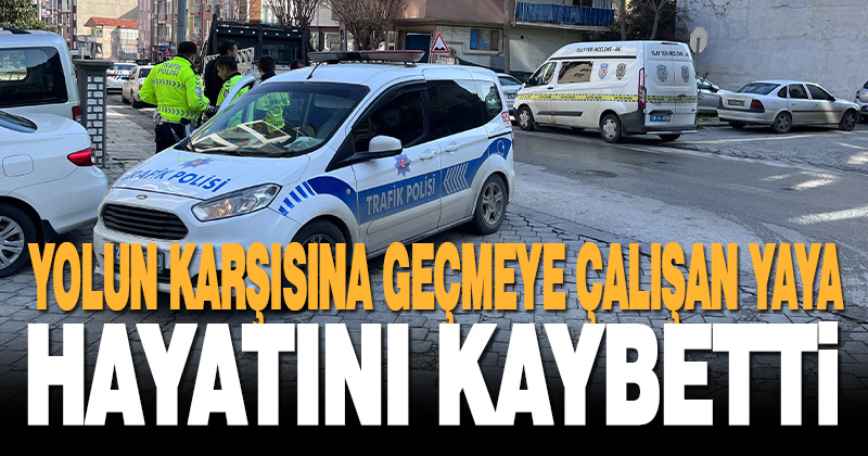 Denizli’de kamyonetin çarptığı kişi hayatını kaybetti