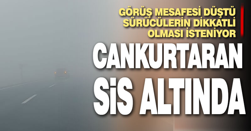 Cankurtaran sis altında