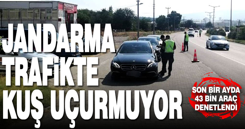 Jandarma 1 ayda 43 bin aracı denetledi