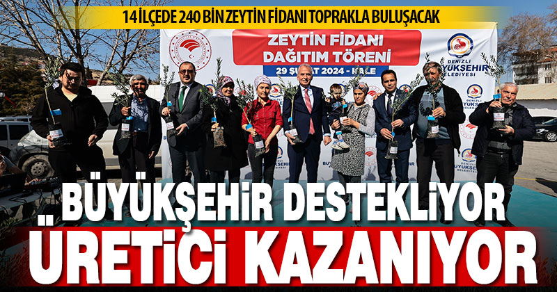 Üreticiler, Büyükşehir ile kazanmaya devam ediyor. 14 ilçede 240 bin zeytin fidanı toprakla buluşacak