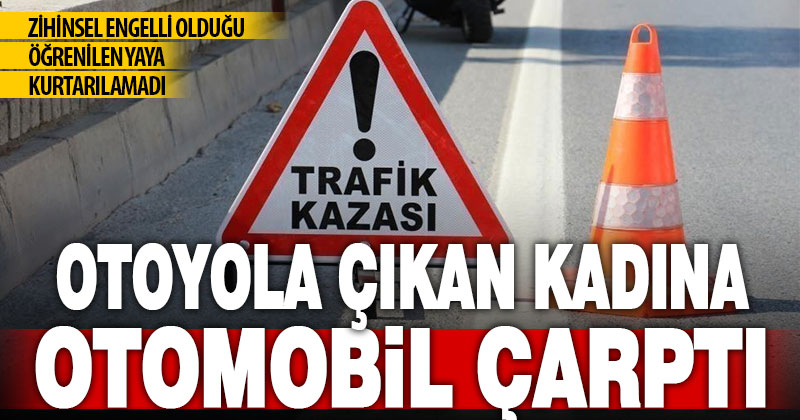 Otoyola çıkan yaya kadın, otomobilin çarpması sonucu hayatını kaybetti