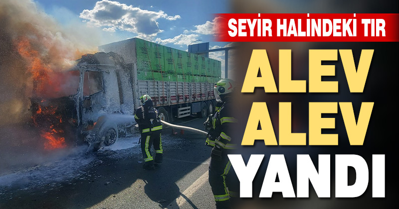 Denizli’de seyir halinde yangın çıkar tır alev alev yandı