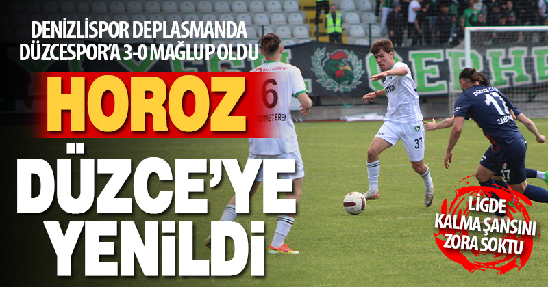 Denizlispor Düzcespor’a 3-0 yenildi