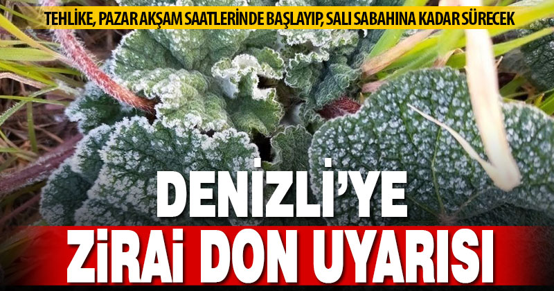 Denizli’de 2 gün boyunca zirai don bekleniyor