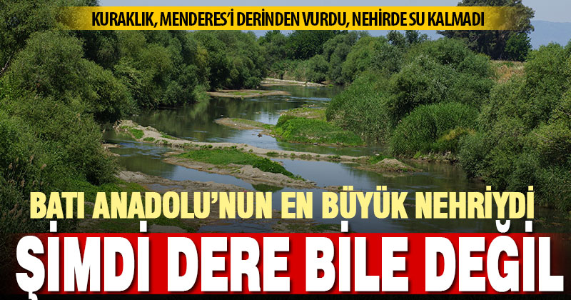Batı Anadolu’nun en büyük nehri Büyük Menderes şimdi suya hasret