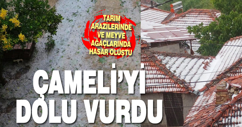 Dolu yağışı meyve ağaçları ve ekili arazilere zarar verdi