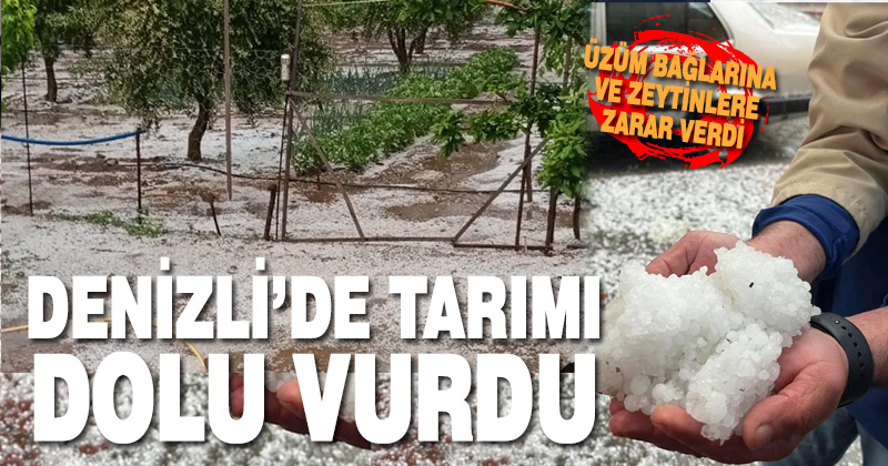 Denizli’de dolu yağışı tarım arazilerine zarar verdi
