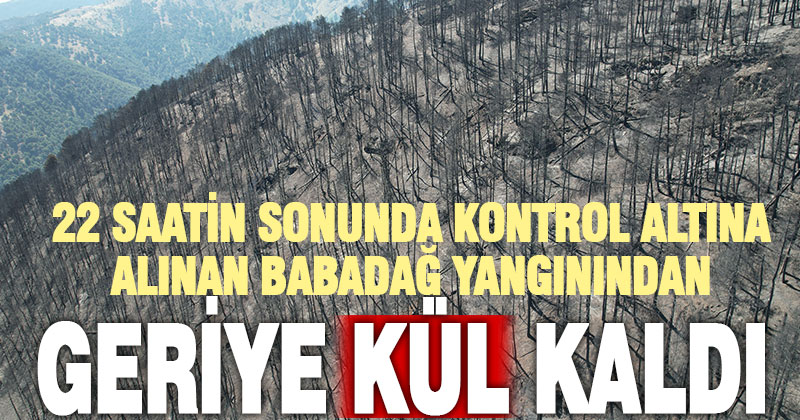 22 saatte kontrol altına alınan yangında, geriye kül kaldı
