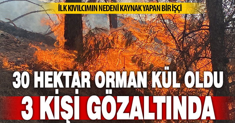 Yaklaşık 30 hektar alanın zarar gördüğü 2 ayrı yangınla ilgili olarak 3 şüpheli gözaltına alındı