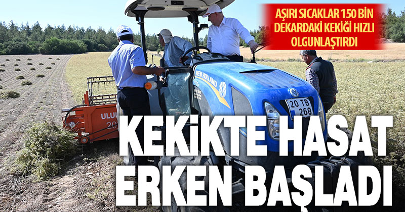Denizli Kekiğinde hasat başladı