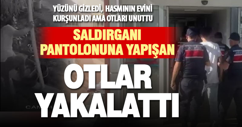 Hasmının evini kurşunlayan saldırganı kıyafetine yapışan ot ele verdi