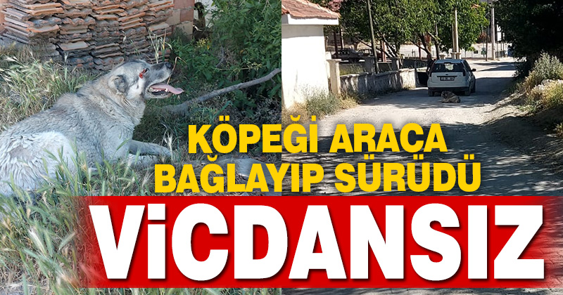 Denizli’de köpeğe işkence: Araca bağlayıp sürüdü