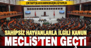 Tartışılan sokak hayvanları düzenlemesi TBMM Genel Kurulunda kabul edildi
