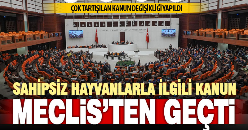 Tartışılan sokak hayvanları düzenlemesi TBMM Genel Kurulunda kabul edildi