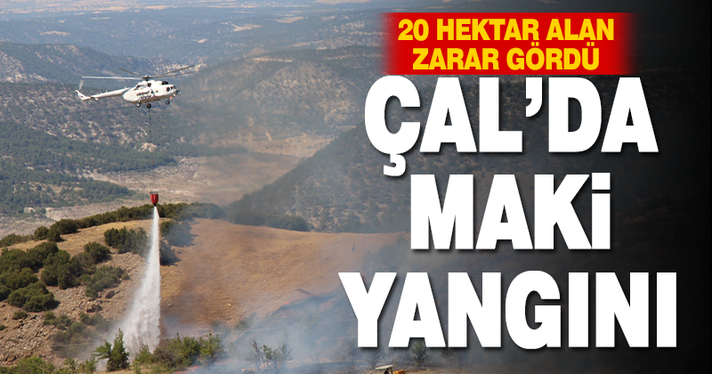 Çal’da makilik alanda çıkan yangında 20 hektar alan zarar gördü 