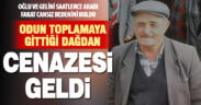 Odun toplamak için dağa giden vatandaş yaşamını yitirdi