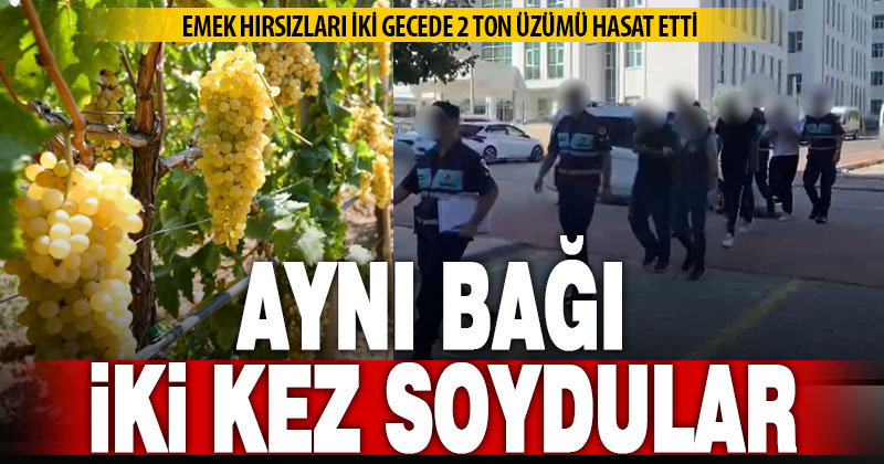 Aynı bağı iki kez soyan emek hırsızları tutuklandı