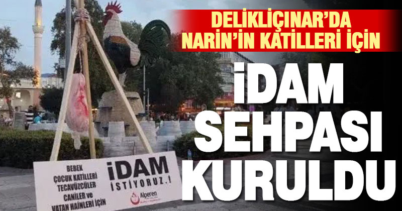 Alperen Ocakları üyeleri Narin’in katili için Delikliçınar Meydanına idam sehpası kurdu