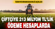 Çiftçilere 213 milyon TL’lik ödemeler bugün hesaplarda