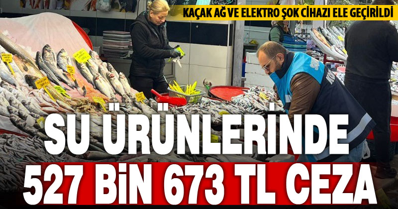 Su ürünleri denetiminde 43 kişi ve işletmeye 527 bin TL ceza