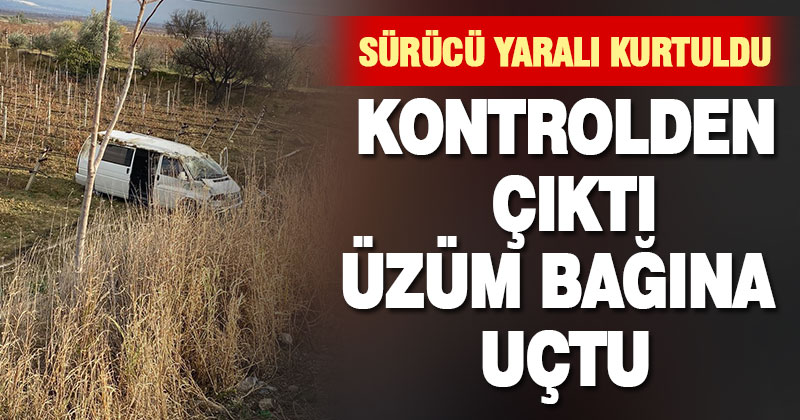 Kontrolden çıkan araç üzüm bağına uçtu