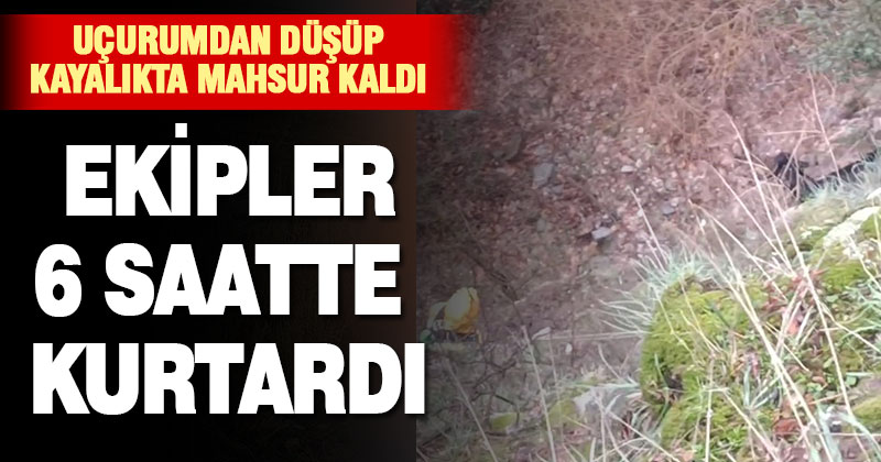 Kayalıkta mahsur kalan keçiyi ekipler 6 saatte kurtardı