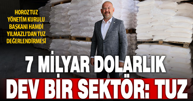 Horoz Tuz Yönetim Kurulu Başkanı Hamdi Yılmazlı: Tuzun küresel hacmi 7 milyar dolar