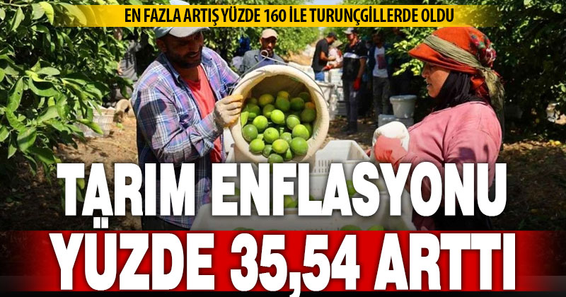 Tarım enflasyonu yıllık yüzde 35,54 arttı