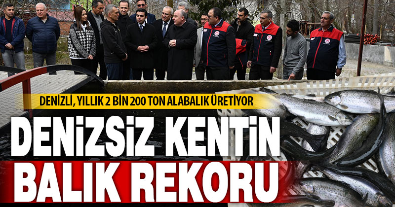 Denizli’deki 101 tesiste 2 bin 200 ton alabalık üretiliyor