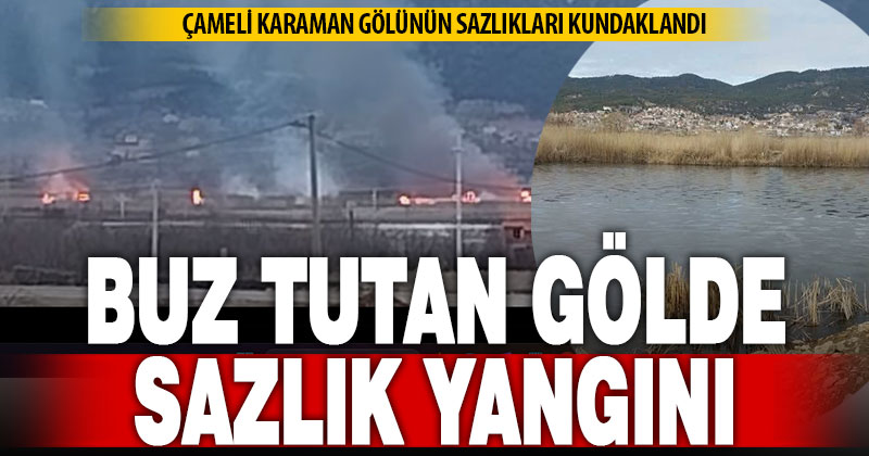 Ateşe verilen sazlıklarda binlerce canlı telef oldu