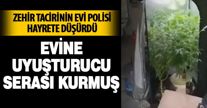 Evine uyuşturucu serası kurmuş