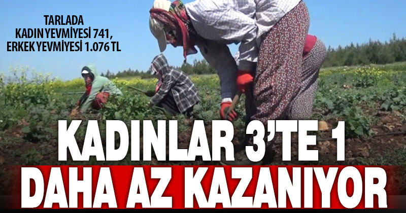 Tarlada çalışan kadın, erkekten 3’te 1 daha az kazanıyor
